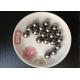 Anti - Abrasive Miniature Chrome Steel Balls High Precision 1 / 2 inch 12.7mm