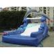 Dolphin Outdoor Inflatable Water Slides, Swimming Pool Slide With UL Blower