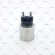 Denso Solenoid unit E1024014,Fuel Metering pump unit solenoid valve E 1024014