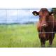 Corrosion Resistant 3ft Tall Wire Cattle Fencing For Farm