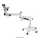 A43.1901 C Mount 1/3 Ccd Surgical Operating Microscope 2.9x - 21.7x Colposcope