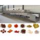 Continuous Tunnel Microwave Drying Equipment For Chili / Spice Powder