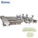 Effervescent Tablets Aluminum Foil Wrapping Machine with Horizontal Automatic Packing