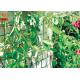 Plastic Garden Netting For Climbing Plants , Garden Fence Roll With UV