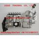 High pressure fuel injection pump assembly BH6PA110R , 6R4ZLD310100 LONGKOU PUMP