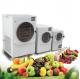 1500W Small Home Food Vacuum Freeze Dryer Lyophilization Machine 0.1m2 acreage