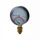 TG-042 Thermo manometer temperature gauge