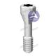 Arum Titanium Angled Screw No.13 (DS015) Compatible with Nobel Biocare Replace & Camlog & Astra