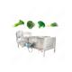 High Efficiency Fruit Washing Peeling Machine Big Size