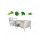 Home Use Manual Fruit And Vegetable Washing Machine Iso