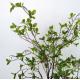 150cm Artificial Bonsai Plants , Fake Potted Plants Indoor Real Touch Green Leaves