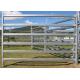 High Durable Cattle Yard Panels / Portable Gate Panels With Galvanized Pipe