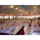 White Marquee Wedding Event Tents Waterproof Oem For Outdoor Celebration