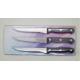 3PCS Serrated Steak Knives With Plastic Handle Blister Card for promotion