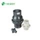 150 Psi PVC Swing Check Valve with Connector Property and Ddcv Double Lobe Function