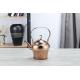 1L.1.5L,2L Special design household water kettle long handle coffee pot rose gold color metal steel unbreakable teapot