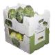Fruit Corrugated Plastic Packaging Broccoli PP Corrugated Sheet Box