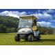 Popular 2 Seater Golf Cart , Street Legal Electric Vehicles Passenger Mover
