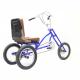 16 Inch Trike 3 Wheel Tricycle Adult Cargo Bike with High Carbon Steel Handlebars Stem