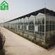 8m Width Glass Greenhouse for Growing Vegetables Stable Structure and Customizable