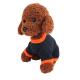 Orange / Black Color Halloween Dog Sweaters High Flexibility 20 - 37CM