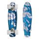 OEM Plastic Penny Board Painting Design Easy To Ride For Beginners