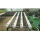 ECO Friendly Auto Soilless Hydroponic System For Leafy Vegetables