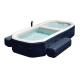 4-6 Person Inflatable Spa Hot Tub Adjustable Temperature Inflatable Spa Bathtub