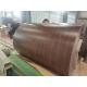 Building Material SGCC Customized Prepainted Steel Coil With Wooden Pattern 0.12-1.5mm  Metal Roofing Rolls PE/HDP