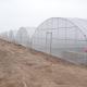 Single-Span Agricultural Greenhouses Solution for Growing Produce