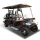 Black 4x4 Electric Golf Cart UTV Utility Car With Lithium Battery Road Legal Vehicles