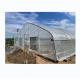 6m-10m Width Single Layer High Strength Poly Tunnel Greenhouse For Tomato Production