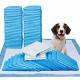 Pet Washable Waterproof Puppy Pad 60x45cm Super Absorption ISO9001