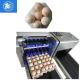 Economical Consumable Material Egg Packaging Machine / Egg Spraying Machine