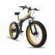 Shimano Gear Fat Tire Electric Bike Folding 70km Pedal Assist Mode 26X4.0 Inch