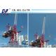 QTD2520 High Efficiency Small Luffing Tower Crane with High Specifications for Civil Project