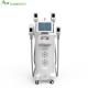 Professional cryolipolysi fat freezing fat freezing machine 4 handles weight loss slimming