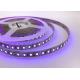 SMD2835 Blacklight UV LED Lights Ip20 Uv 365nm 395nm Ultraviolet Led Strip
