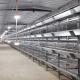 1480x1750x440mm Battery Chicken Cage
