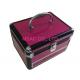 Aluminum Cosmetic Small Carry Cases L220 x W150 x H180mm