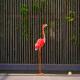 Outdoor Metal Flamingo Yard Decor Lawn Flamingo Metal Statue