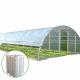 Vegetable Growing Plastic Film Greenhouse / Tunnel Single Span Greenhouse