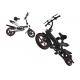 High Speed Small Folding Electric Bike 36V 350W Motor Power Anti - Rust Chain