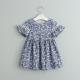 Summer Children'S Clothing Girls' Cotton Printed Floral Dress Girls Lace Dress