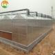 2021 Multi-Span Polycarbonate Invernadero Garden Greenhouse for Agriculture Industry