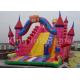 Customized 0.55mm PVC Pink Inflatable Vivid Animals Dry Slide amusement park