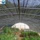 High Quality Different Color 100% HDPE Plastic Waterproof Greenhouse/Agriculture Shading Rate 60% Shade Net