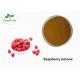 Natural Raspberry Extract Powder Raspberry Ketone 25% For Weight Loss