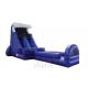 Outdoor Blue Wave Slide Customized Size With Slip N Pool Wss-253 High Durability