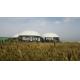 White Biogas Storage Tank For Corn Straw / Cow Dung / Chicken Manure